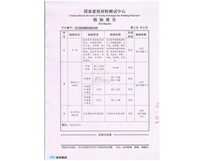 检验报告